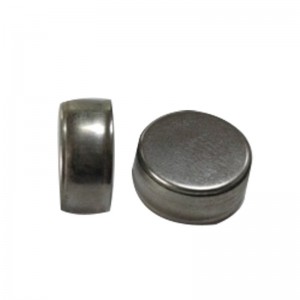 BATTERI PRODUCTURER TWS EARTHONE SPECIAL POLYMER LITHIUM BATTERI LR1254 Knappen Batteri Professionel tilpasning